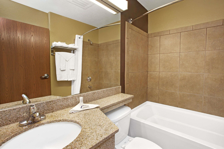 Bathroom 4, Microtel Inn & Suites by Wyndham Cartersville, Bartow
