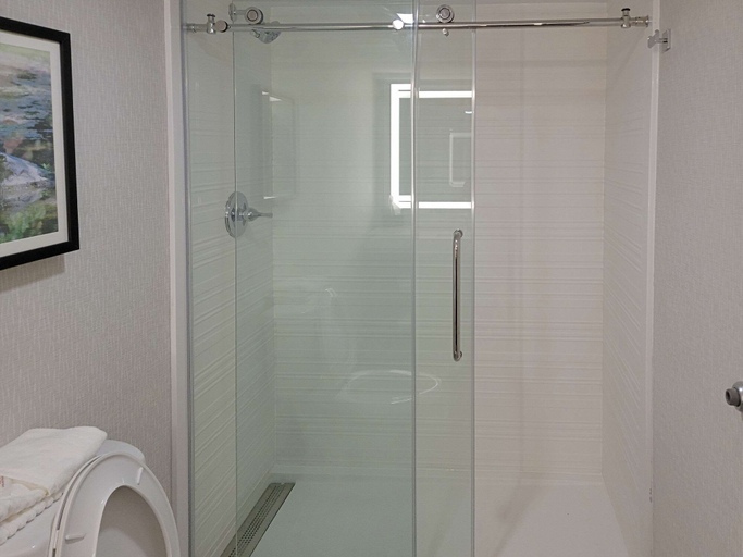 Bathroom 4, Comfort Inn & Suites Wyomissing/Reading, Berks