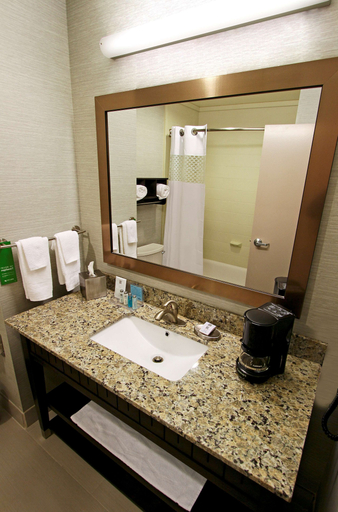 Bathroom 4, Hampton Inn & Suites Winnie, Chambers