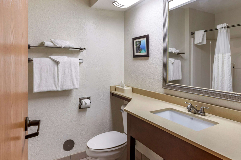 Bathroom 4, Comfort Inn Okemos - East Lansing, Ingham