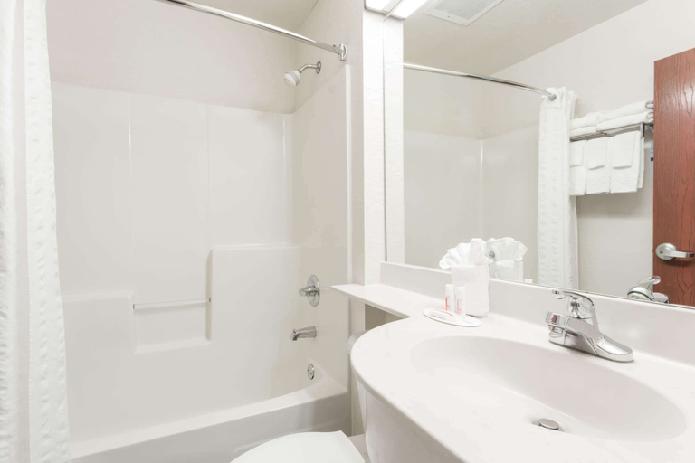 Bathroom 4, Microtel Inn & Suites by Wyndham Marianna, Jackson