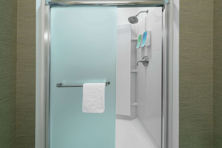 Bathroom 4, Home2 Suites by Hilton Austin Airport, Travis