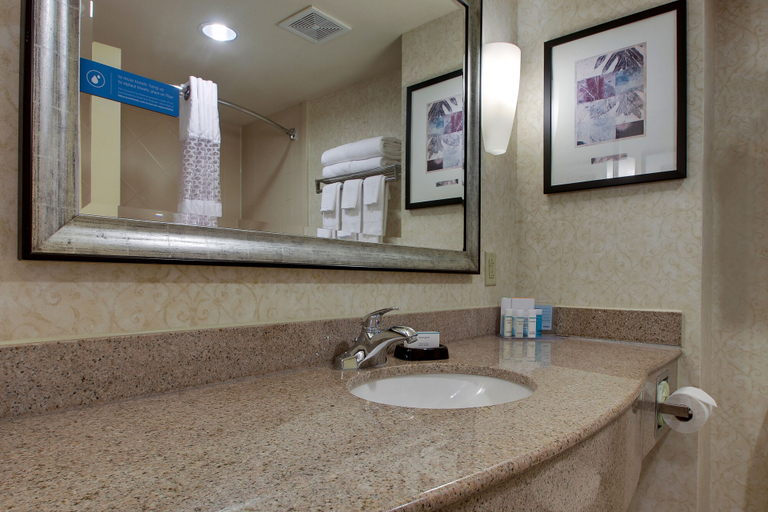 Bathroom 4, Hampton Inn & Suites Spartanburg-I-26-Westgate Mall, Spartanburg