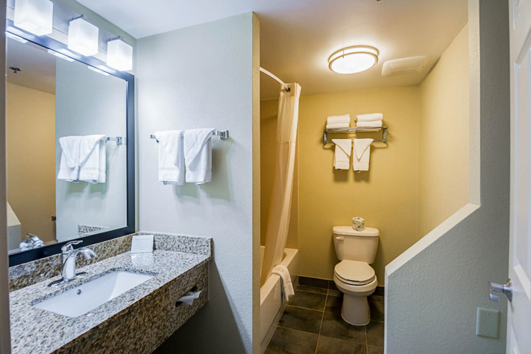 Bathroom 4, Quality Inn & Suites Hagerstown, Washington