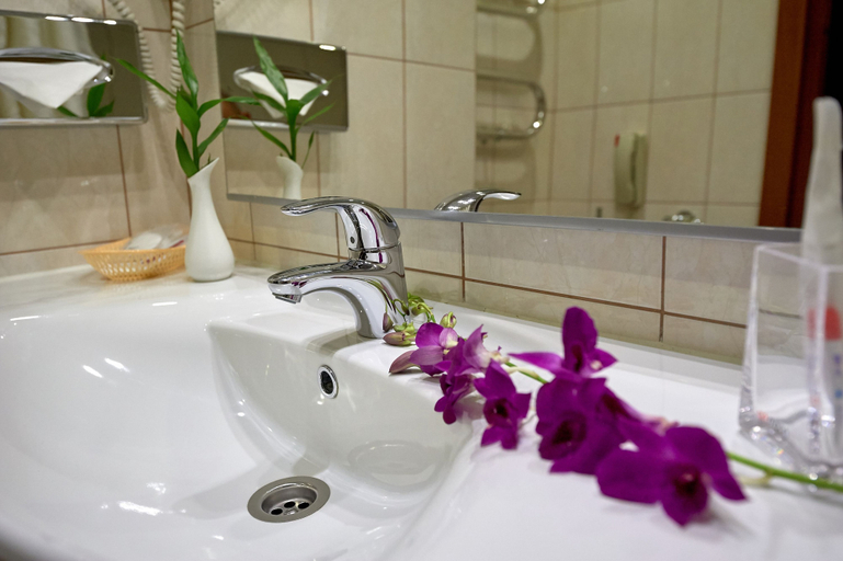 Bathroom 3, Design Hotel (D'Hotel), North-Eastern