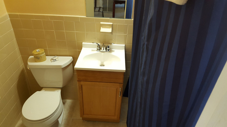 Bathroom 5, Red Carpet Inn Blacksburg, Montgomery