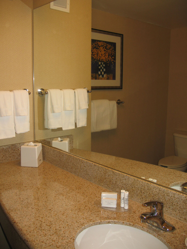 Bathroom 4, Courtyard by Marriott Tacoma Downtown, Pierce