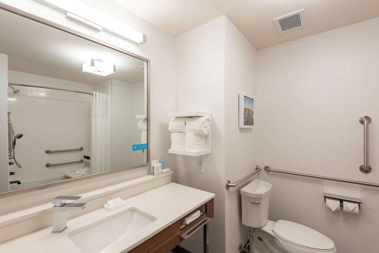 Bathroom 4, Hampton Inn & Suites Xenia Dayton, Greene