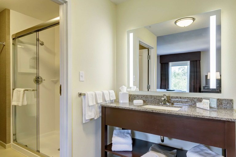 Bathroom 5, Hampton Inn Poplar Bluff, Butler