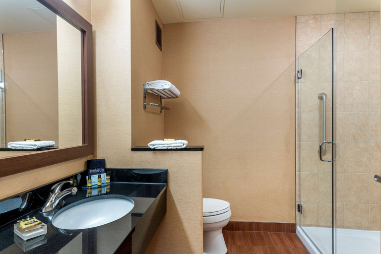 Bathroom 4, Best Western Plus Bathurst Hotel & Suites, Gloucester