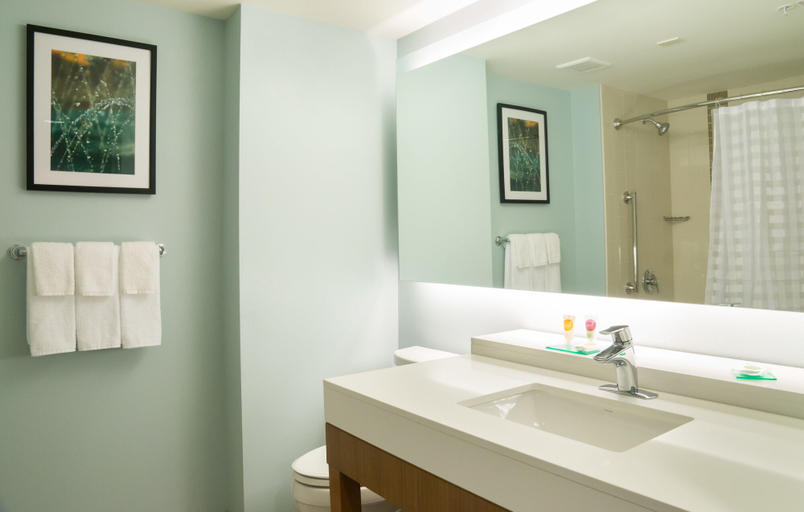 Bathroom 4, Hyatt Place Daytona Beach - Oceanfront, Volusia
