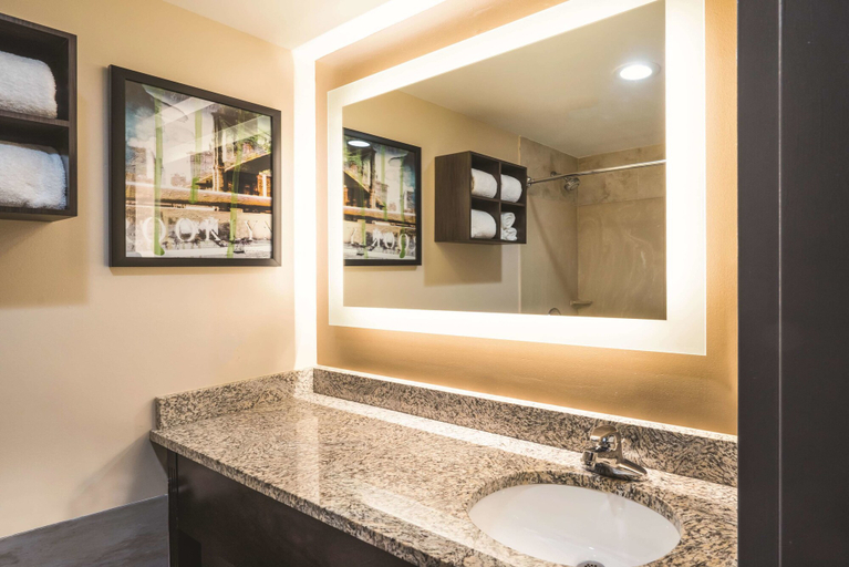Bathroom 4, La Quinta Inn & Suites by Wyndham Brooklyn Downtown, New York