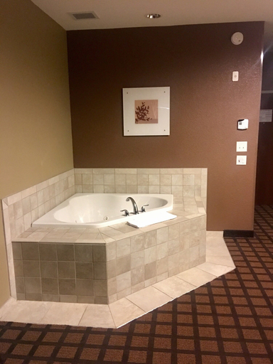 Bathroom 4, Microtel Inn & Suites by Wyndham Minot, Ward