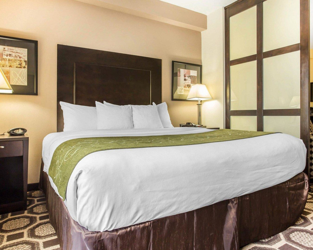 Bedroom 4, Holiday Inn Express & Suites LEXINGTON by IHG, Lexington