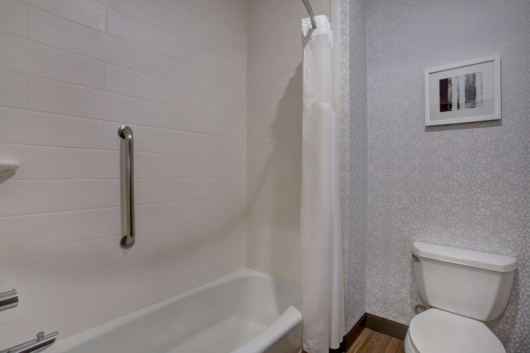 Bathroom 4, Hampton Inn & Suites Dallas-DeSoto, Dallas