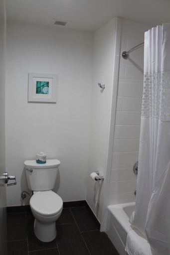 Bathroom 4, Hampton Inn & Suites Guthrie, Logan