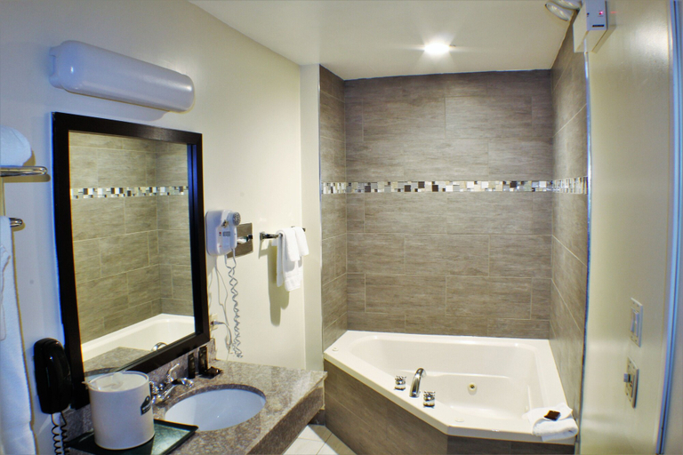 Bathroom 4, Wingate by Wyndham Chicago Schaumburg, Cook