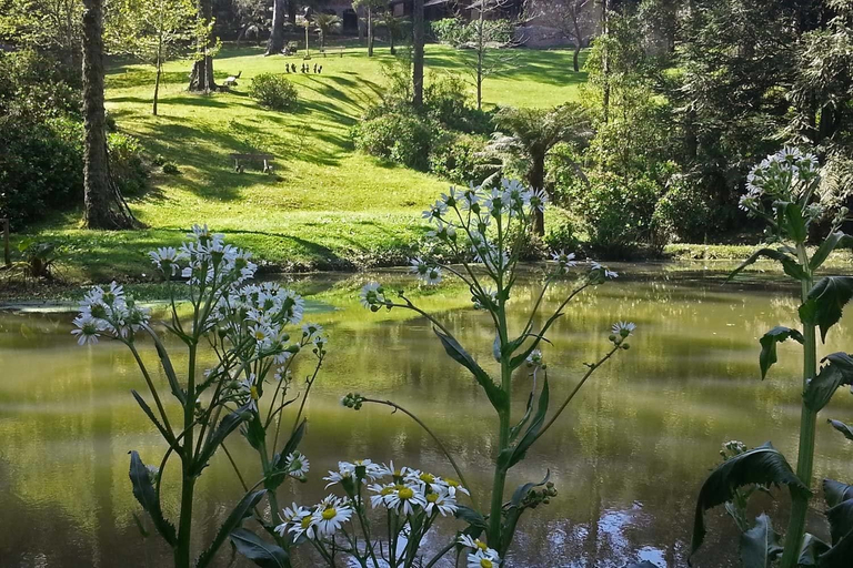 Others 5, Chalets do Vale, Gramado