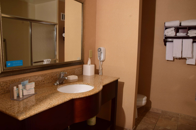 Bathroom 4, Hampton Inn Indiana, Indiana