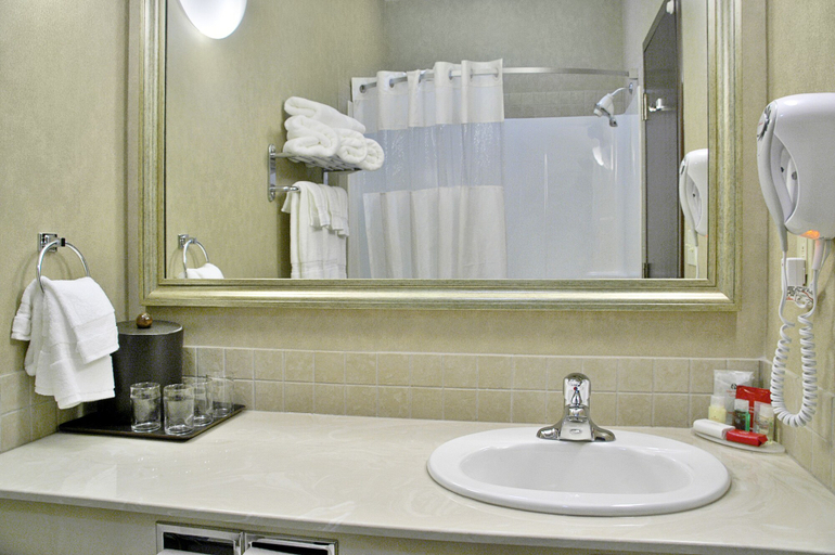 Bathroom 4, Ramada by Wyndham Stettler, Division No. 7