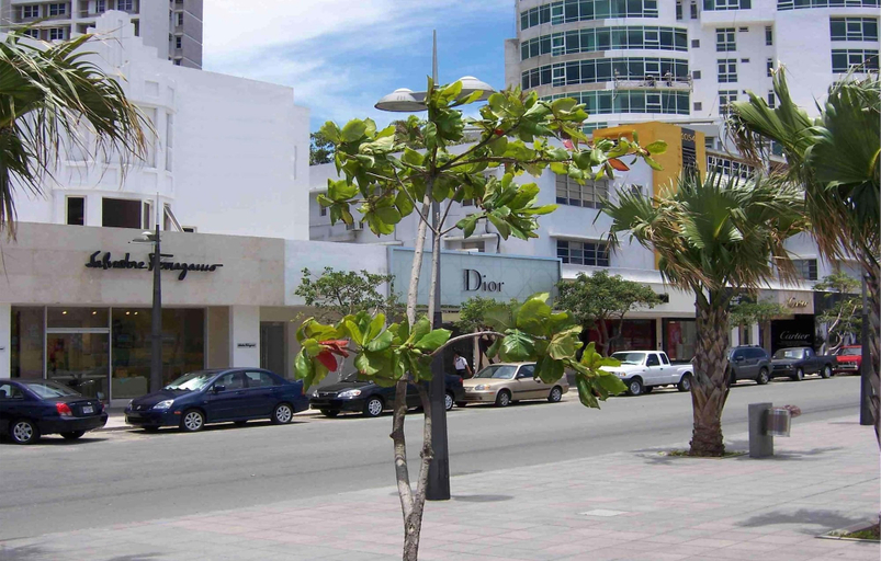 Exterior & Views 2, La Concha Resort, Puerto Rico, Autograph Collection