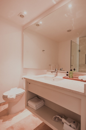 Bathroom 4, Antera Hotel & Residences, Cozumel