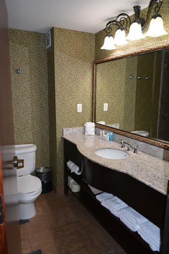 Bathroom 3, Hampton Inn & Suites Houston Katy, Houston