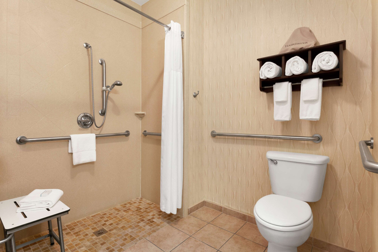 Bathroom 4, Hampton Inn Sulphur Springs, Hopkins