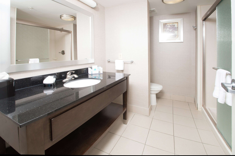 Bathroom 4, Hampton Inn Hernando, Desoto