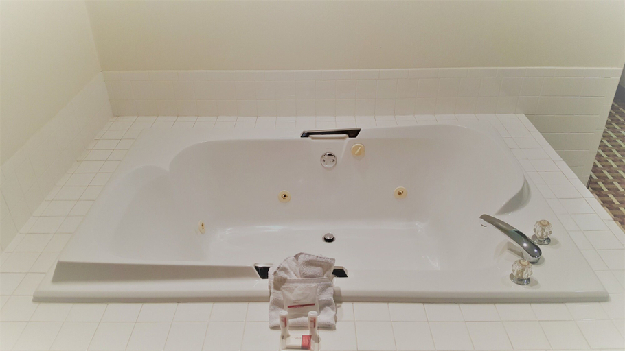 Bathroom 4, Super 8 by Wyndham Harlingen TX, Cameron