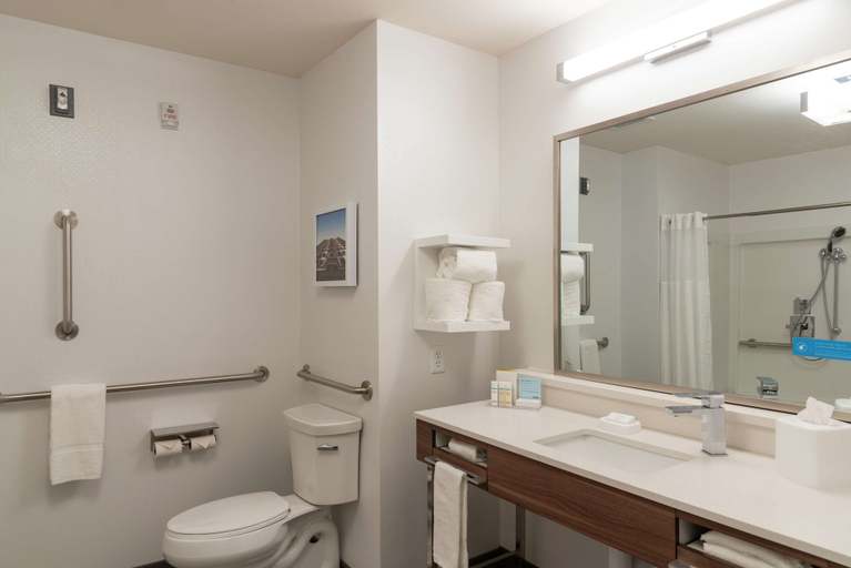 Bathroom 4, Hampton Inn & Suites Xenia Dayton, Greene