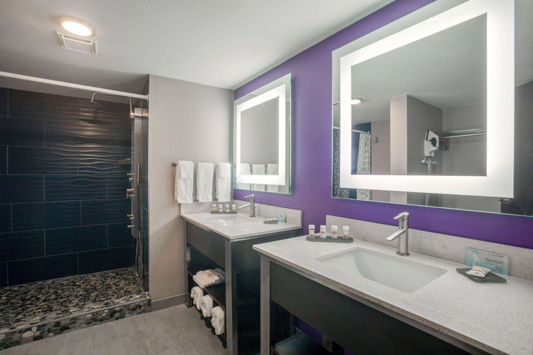 Bathroom 4, La Quinta Inn & Suites by Wyndham Branson, Taney