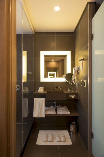 Bathroom 5, Novotel Santos Gonzaga, Santos