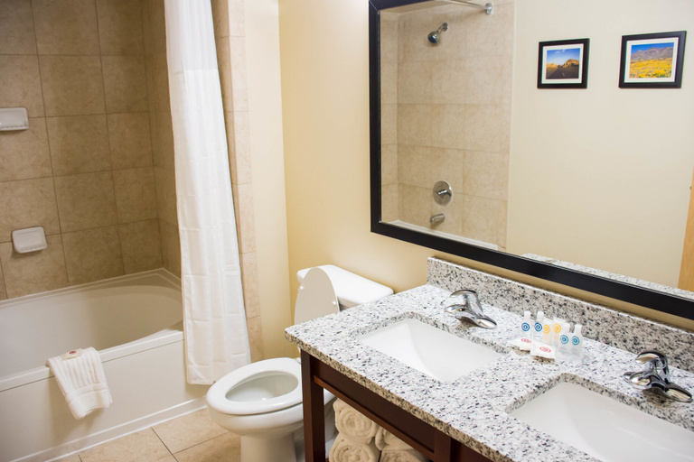 Bathroom 4, Comfort Suites El Paso Airport, El Paso