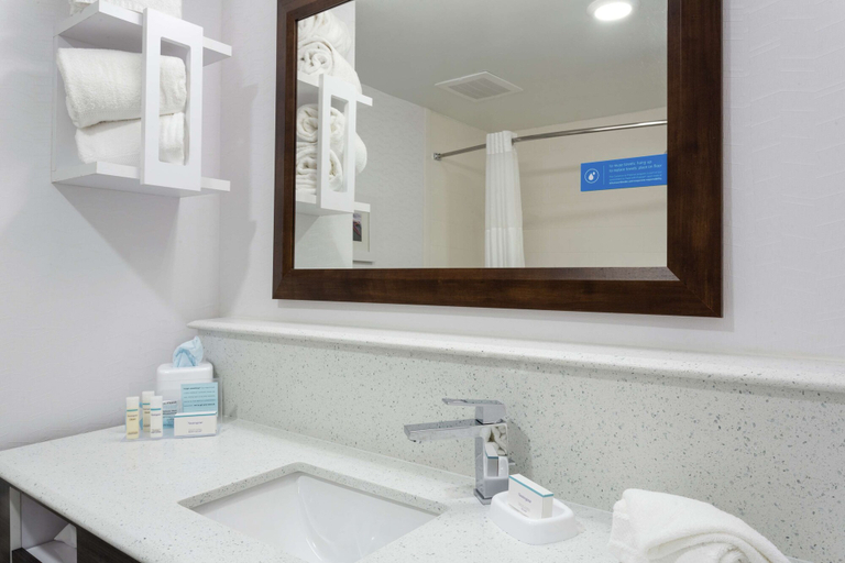 Bathroom 4, Hampton Inn & Suites Jacksonville / Orange Park, Clay