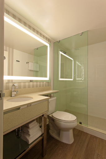 Bathroom 5, The Garland, Los Angeles