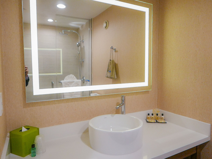 Bathroom 4, Wyndham Anaheim, Orange