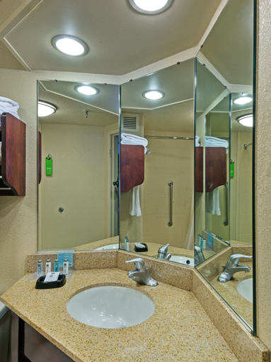 Bathroom 4, Hampton Inn Baton Rouge - I-10 & College Dr., East Baton Rouge