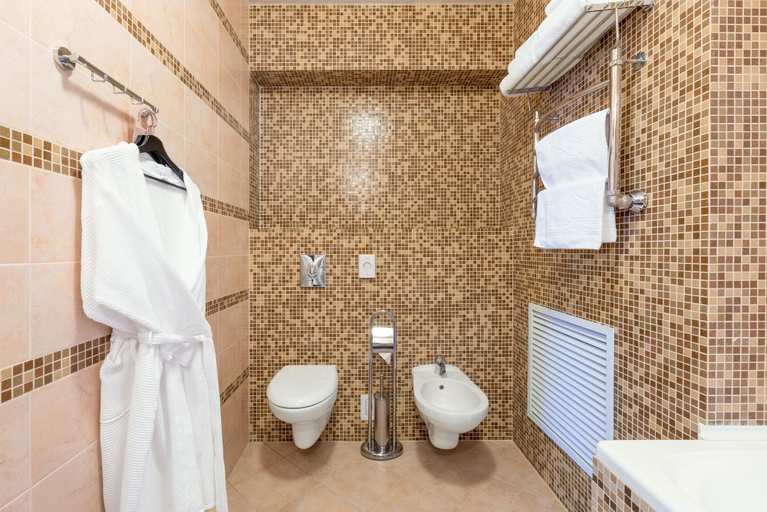 Bathroom 3, Diplomat Hotel, Borskiy rayon