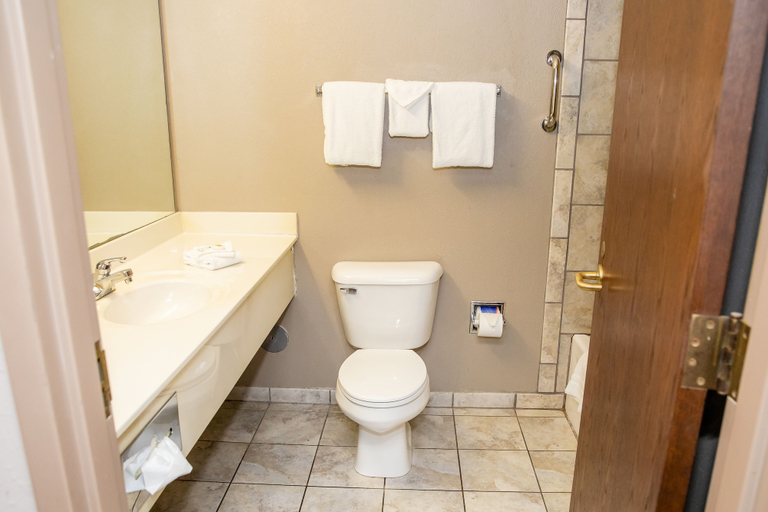 Bathroom 5, Carpenter Street Hotel, Sangamon