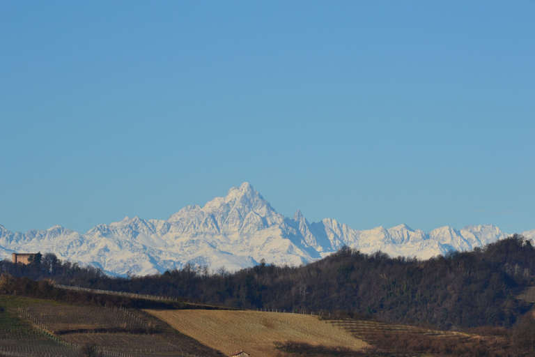 Others 5, Residence la Quiete, Cuneo