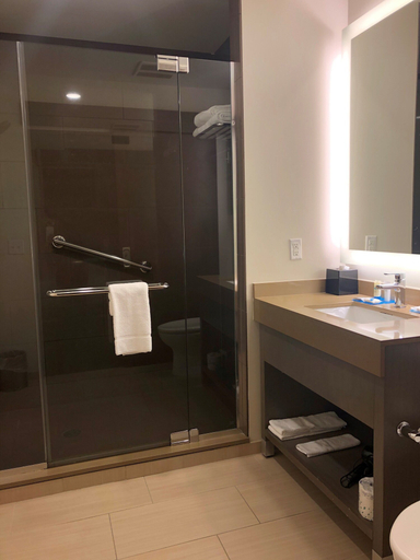 Bathroom 4, Hyatt House Seattle/Downtown, Seattle