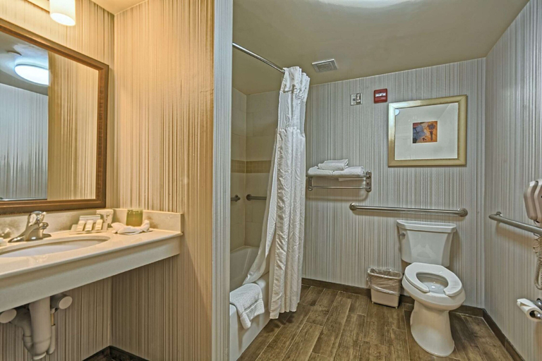Bathroom 4, Hilton Garden Inn Mount Laurel Philadelphia, Burlington