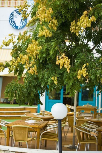 Food & Drinks 5, Hotel Kaliopa, Balchik