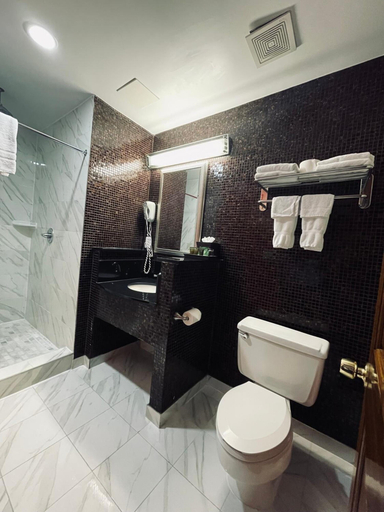Bathroom 4, The Architect, Washington D.C.