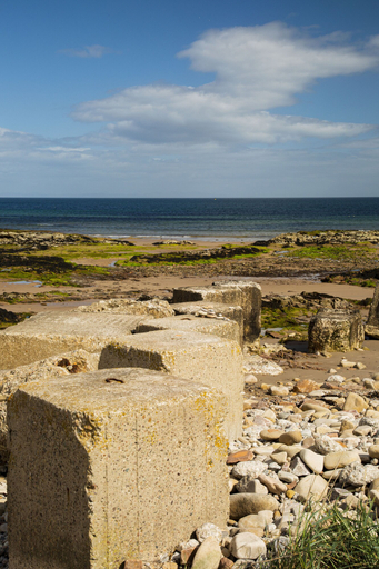 Others 5, Poseidon's Inn, Moray