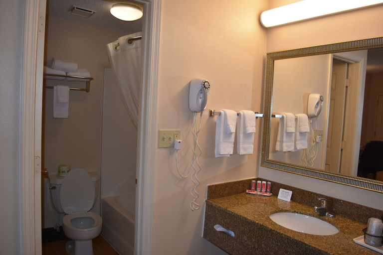 Bathroom 4, Econo Lodge Louisville Downtown, Jefferson