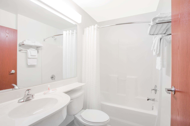Bathroom 4, Microtel Inn & Suites by Wyndham Gassaway/Sutton, Braxton