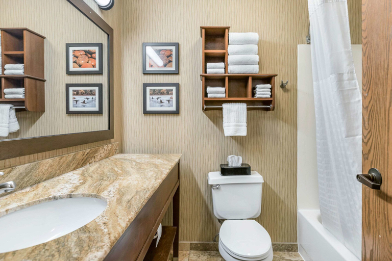 Bathroom 4, Comfort Inn Wings Stadium, Kalamazoo
