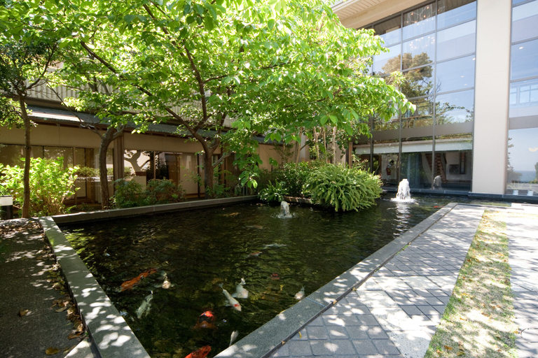 Sport & Beauty 5, Imaiso, Kawazu